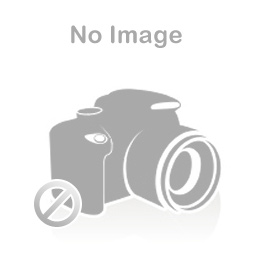 POMPA GEAR ASPAL - ROPAR DIRBJ SERIES ( JACKETED) ( SUHU 250 DEG CELSIUS) - HARGA KOMPETITIF